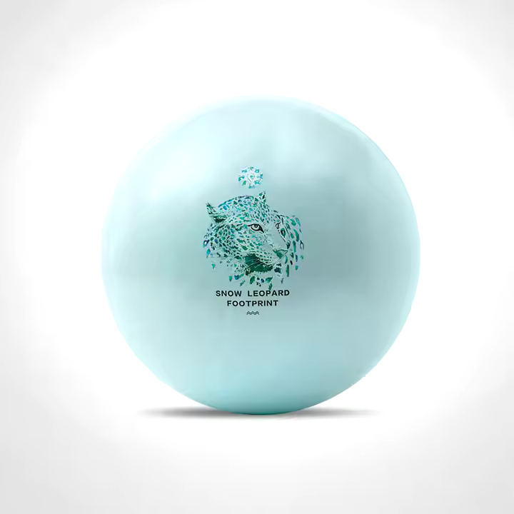 Custom Recycled PVC Yoga Ball