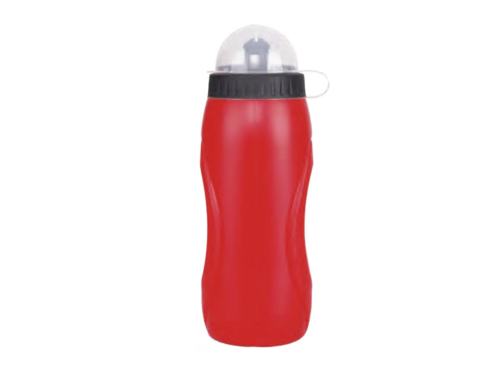 Spout Water Bottle